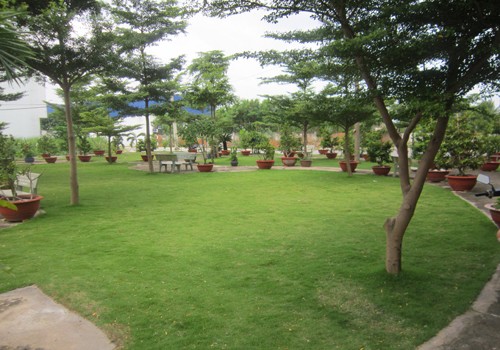 cong-vien-khu-can-ho-chung-cu-le-thanh-khua