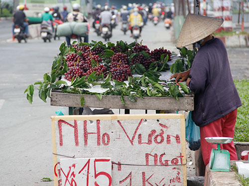 Nho-La-Ngap-Thi-Truong