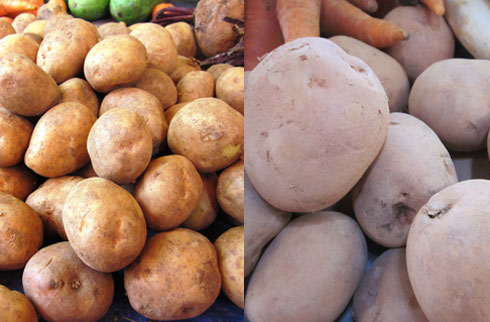 Bi-Quyet-Nhan-Dien-Nong-San-Trung-Quoc